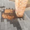 chimney leak and mold