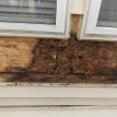 close up of some wood damage from water leak at window